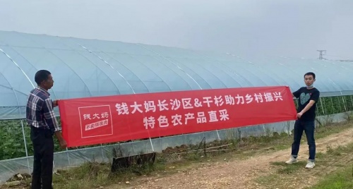 钱大妈华中区加盟店上市长沙干杉黄瓜，直采特色农产品获赞无数