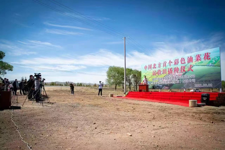 播种希望 相约盛夏 多彩油菜花海助力察右中旗乡村振兴示范村建设