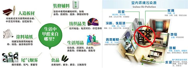速度来抄作业！5种除甲醛有效方法，快速安心入住新家