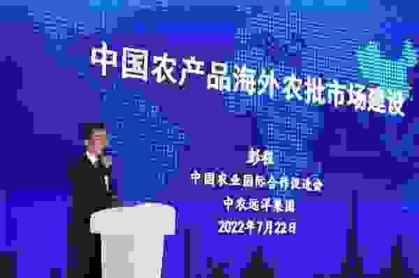 中农远洋彭程：海外农产品批发市场建设