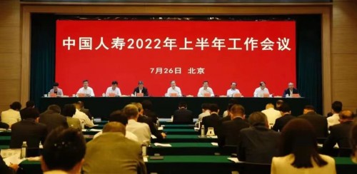 “头雁”竞飞 且看国寿开创转型发展新局面