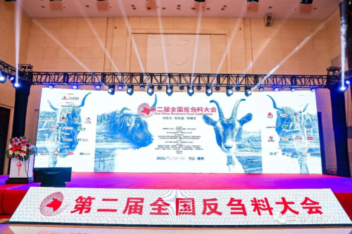瞄准反刍行业新趋势 丰尚跑出创新“加速度”