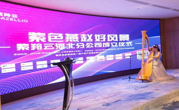 ITSM东风吹进河北——紫羚云河北分公司成立