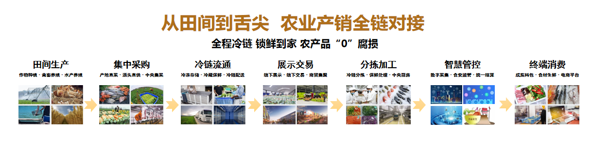 金沙江智慧物流商贸城  在果蔬冷链供应链中应用大数据物联网技术发展