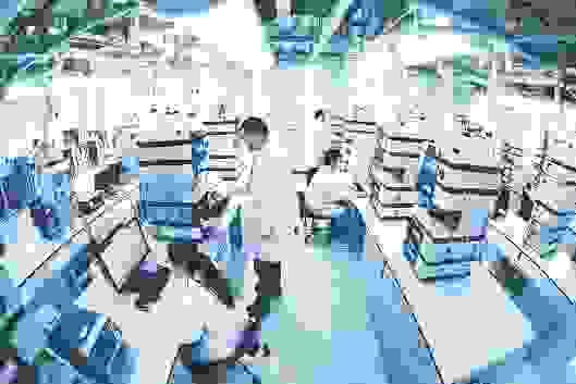 创新驱动永葆基业常青——劲牌有限公司科技责任（成果）报告