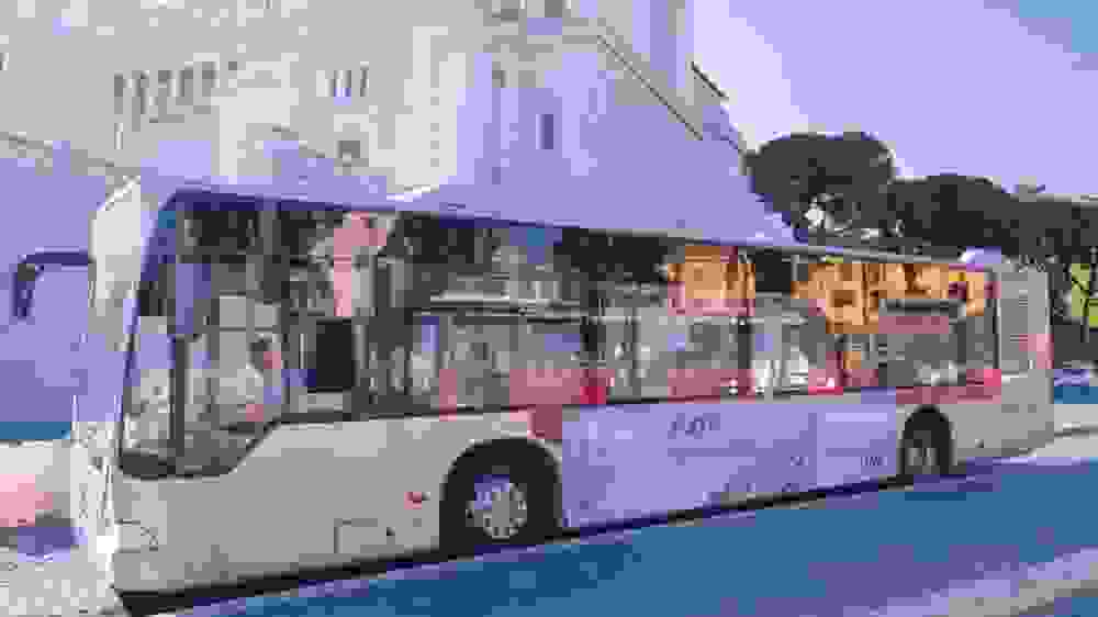 2.jpeg