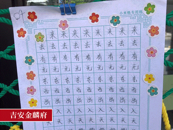 动图4.gif