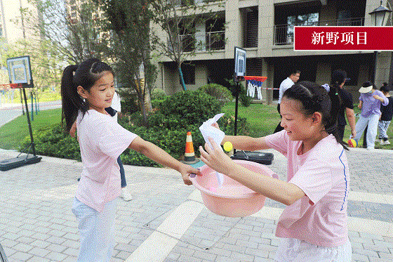 动图6.gif