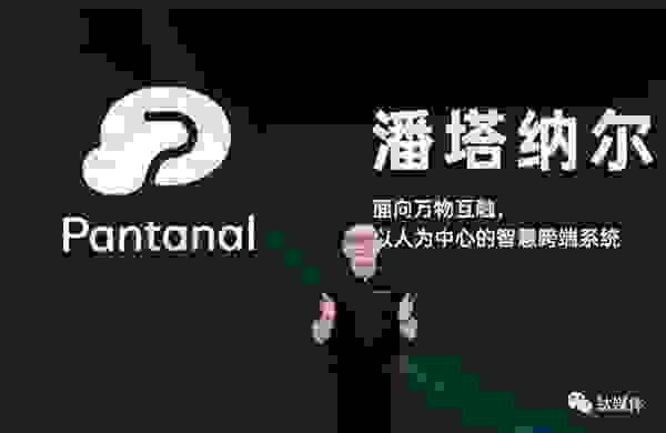 OPPO潘塔纳尔：让智能设备步入开放生态