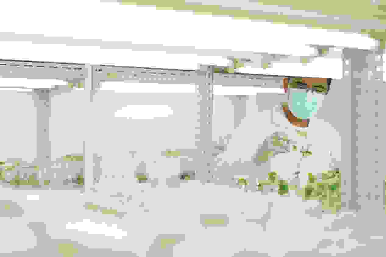 1E6A7882