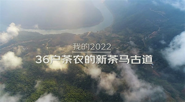 36户茶农的新茶马古道——京东京造解锁茶产业转型新路径