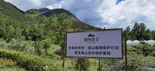 植物医生讲好高山植物故事，彰显生物多样性魅力