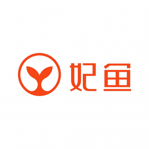双11完美收官：妃鱼斩获二手行业第一