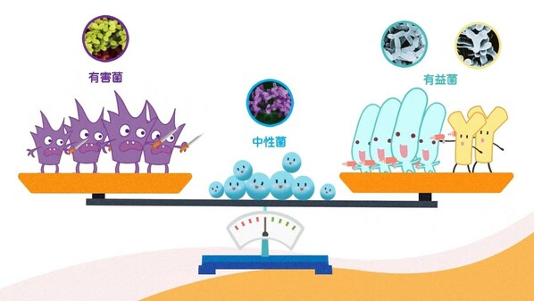 夯实活性乳酸菌的科学支撑，"益"路前行