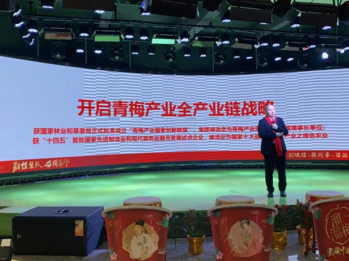 辞旧迎新丨溜溜果园2023集团年会盛大举行，共盼“梅”好明天