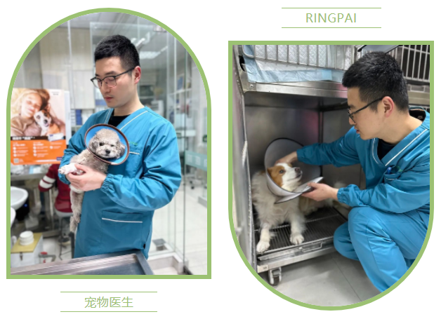 瑞派明星医生：破壁边际极致医疗，探索中西医结合疗法