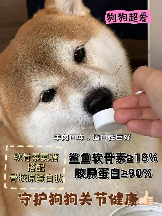 谷登品牌荣获2023年PetAwards派读奖“用户喜爱的品牌”