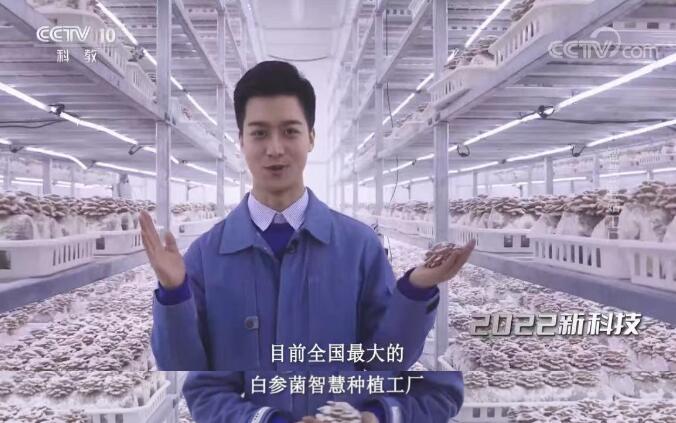 央视报道特色“菌菇”助农强企——毕节市农投菌业高质量发展侧记