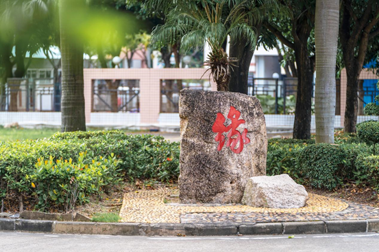 完美公司扎根中国，硬核文化驱动发展