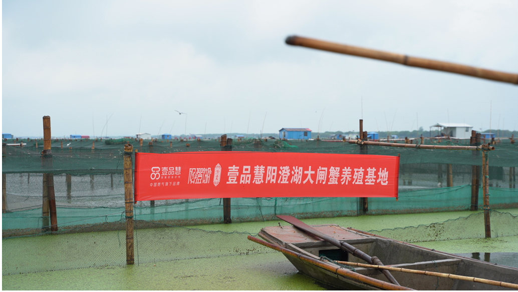 壹品慧的模式创新，网格私域“店”商新零售，赋能乡村振兴