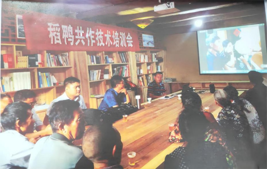 数字经济赋能新农货 恒昌“闯”出乡村振兴新路子