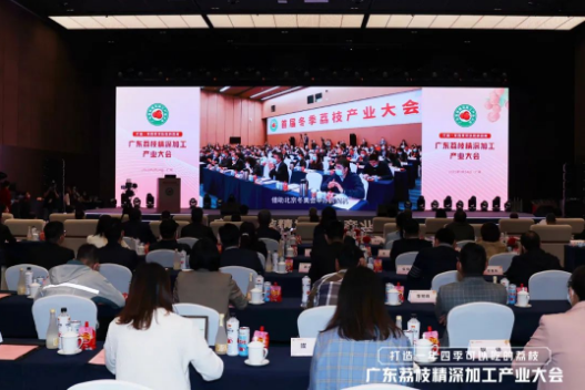 荔小吉壮大产品矩阵，引领荔枝产业朝着品牌价值更高的方向升级