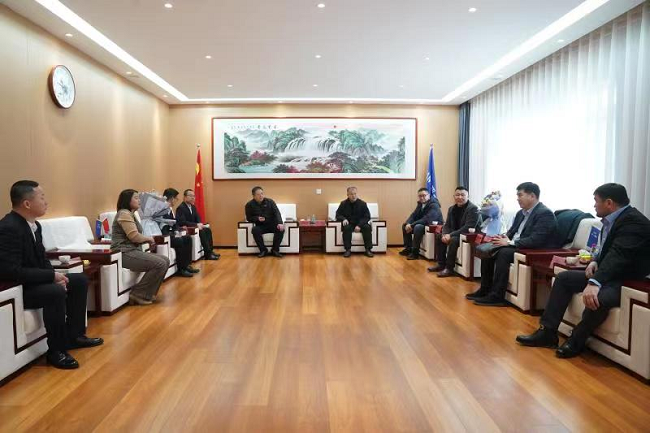 图片31.png