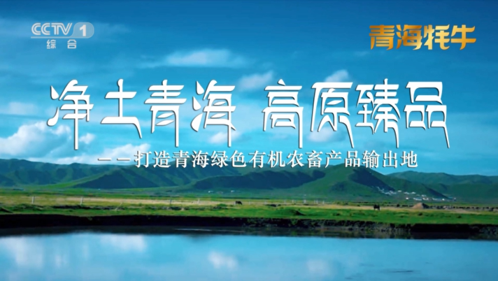 携手央视，打造青海绿色有机农畜产品输出地，助力“青”字号出青