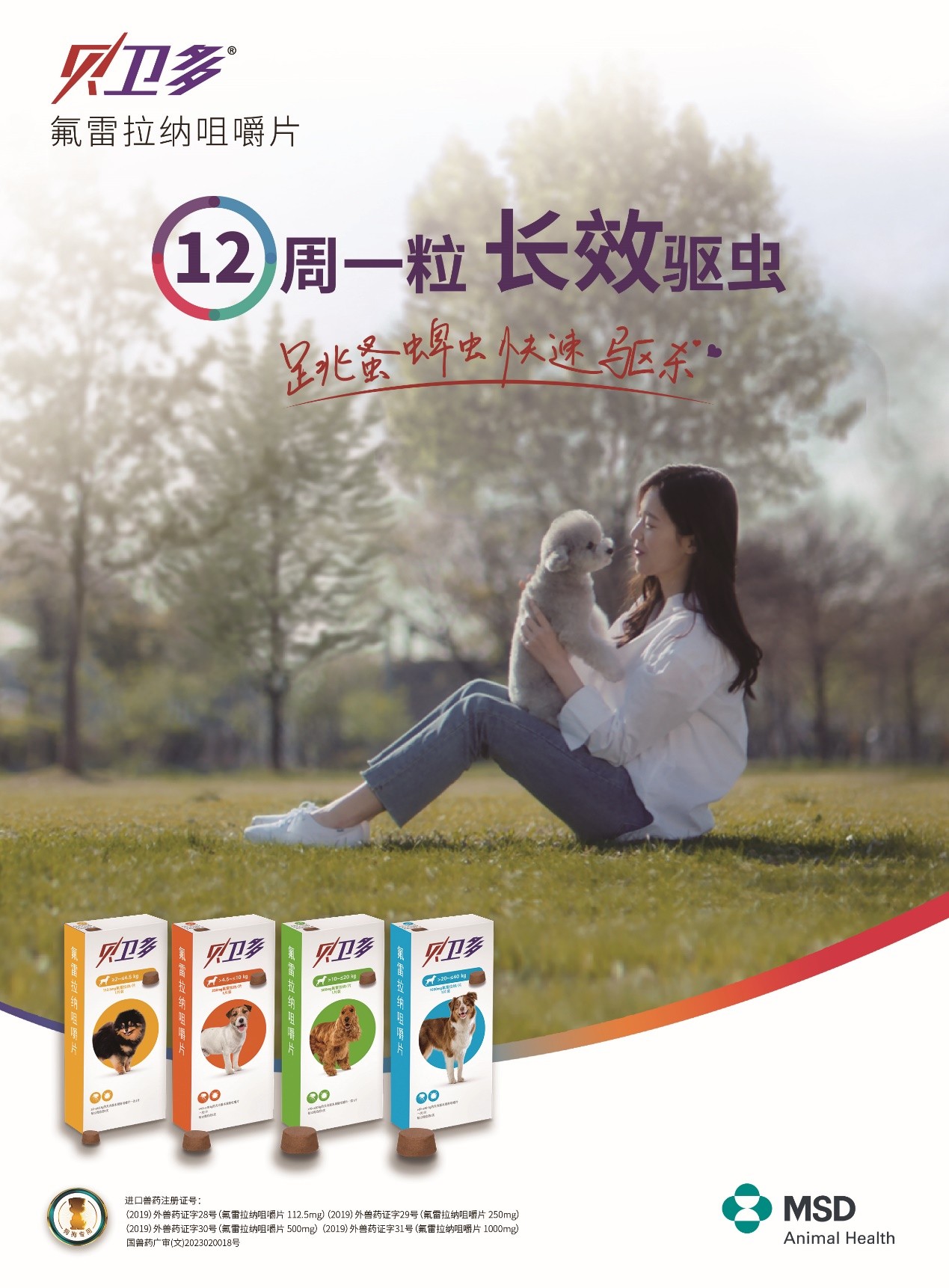 手把手教你使用小狗身上的跳蚤怎么去除小妙招