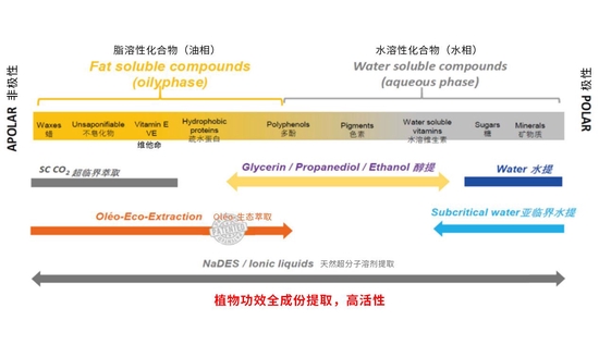 深耕大健康产业，以现代科技赋能传统艾灸，艾唯久助力中医科技化