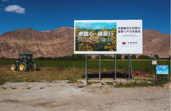 因卓越而公益，因公益更卓越，董事长李华持续践行公益事业