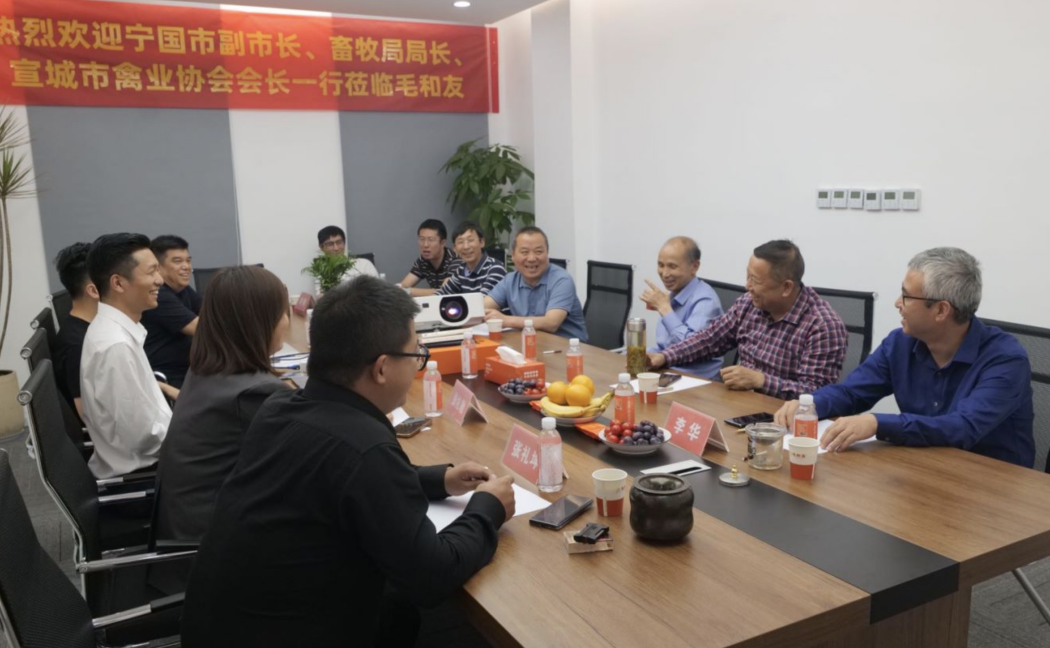宁国市副市长等领导一行前往“毛和友”视察工作，推动企业合作建设