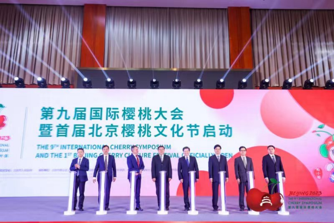北京、澄城两地同时点亮樱桃行业的“奥运会”！