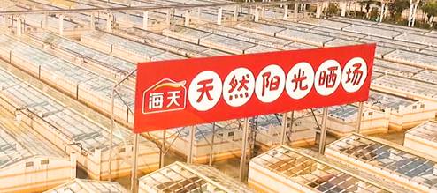618大促来袭调味囤货指南在此 海天金标生抽老抽蚝油料酒等快快码住