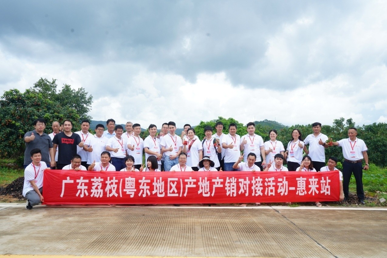惠来荔枝携手30+采购商，共创优质水果市场新篇章！
