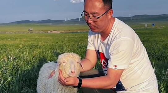 内蒙的草原之星，乌拉盖象阳牧场