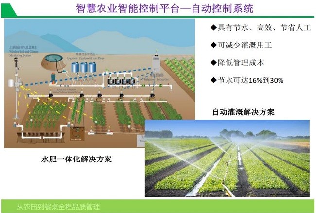 图片11.jpg