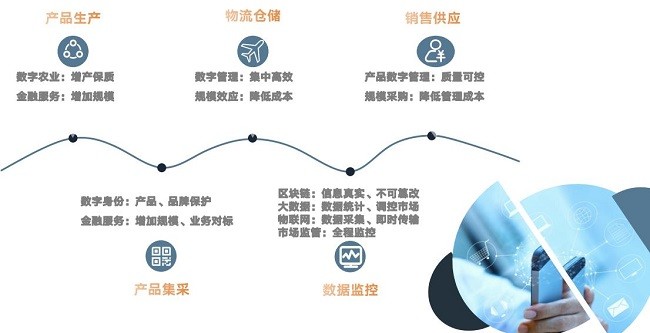 图片12.jpg