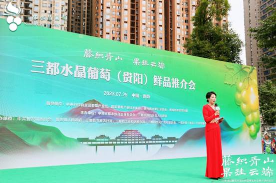 三都水晶葡萄鲜品推介会25日在贵阳隆重举行