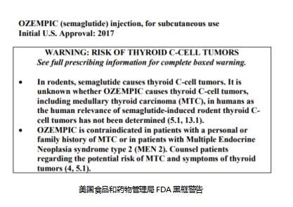 司美格鲁肽、胃转流支架类内镜减重器械持续创新，获将催生新成长型市场格局