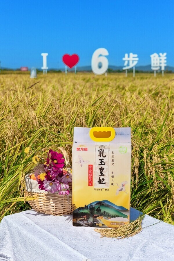 金龙鱼乳玉皇妃稻香贡米打造米中佳品 中化现代农业MAP beSide保障全程溯源品控
