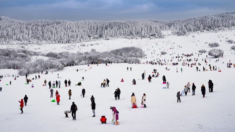 “南方小土豆”别扎堆哈尔滨了 这周末来仙女山耍雪吧!