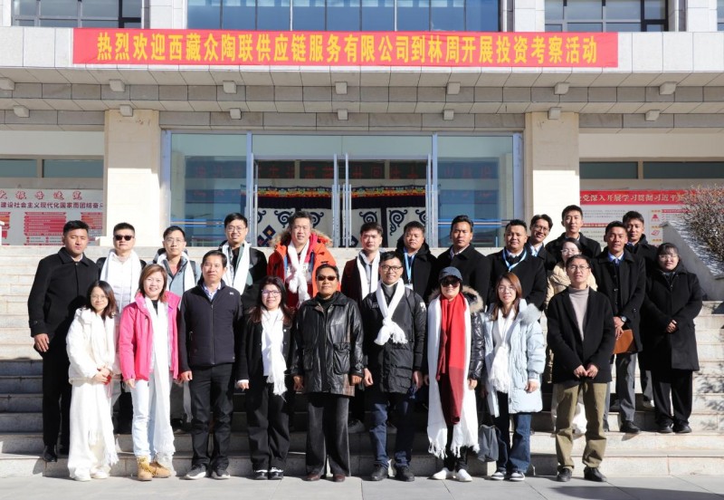 厚积薄发，赋能西藏 全球共德智慧工地解决方案落地拉萨市林周县人民医院项目