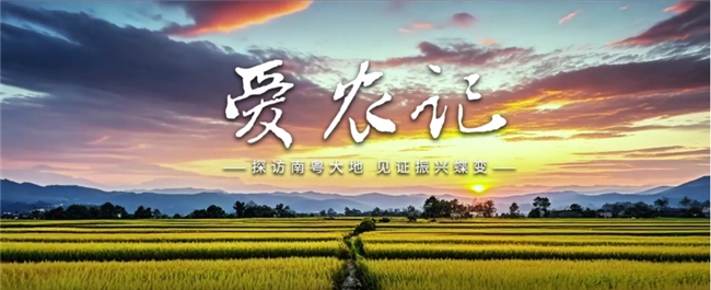 《爱农记》的足迹，见证“百千万工程”的发展蝶变