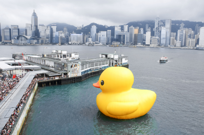 从大黄鸭到博士豚：香港文化引领者的转变