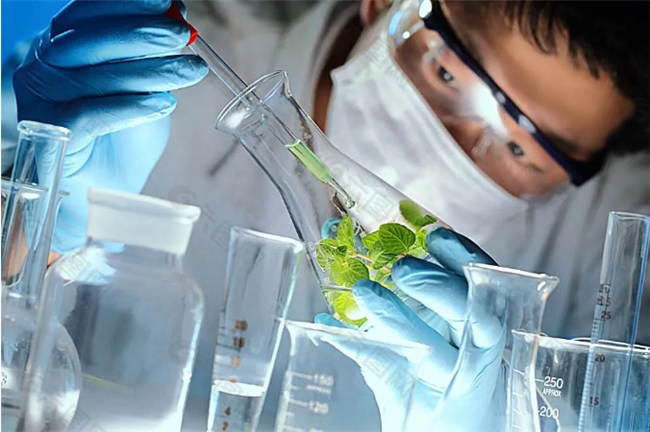 科创特色 | 科学联合实验室将落户朝阳凯文，点燃科学探索创新引擎