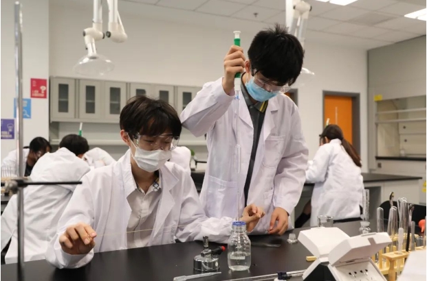 喜报丨朝阳凯文学子狂揽“2024剑桥化学测评(C3L6)”全球金银铜