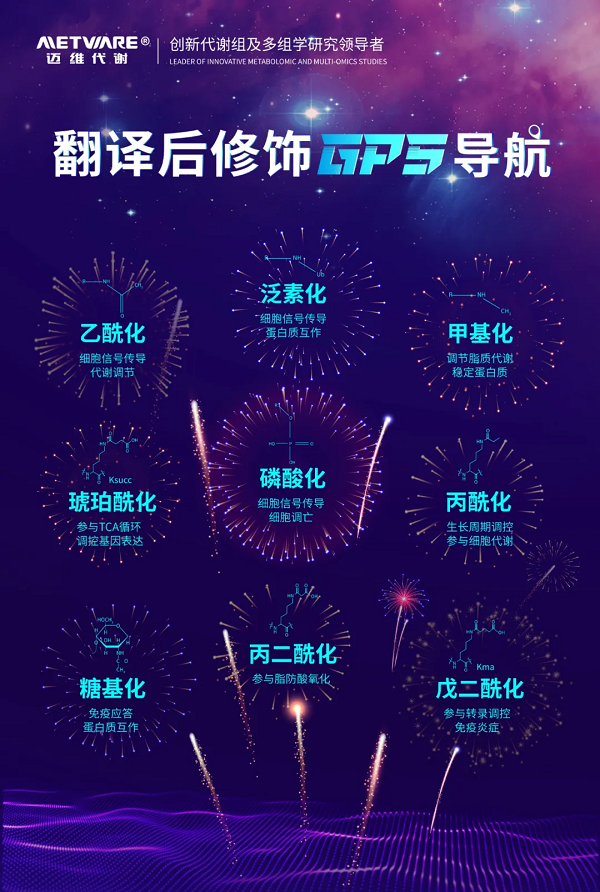 1725004837355053.png