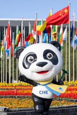 第八届进博会闭幕 中国大市场创造世界大机遇