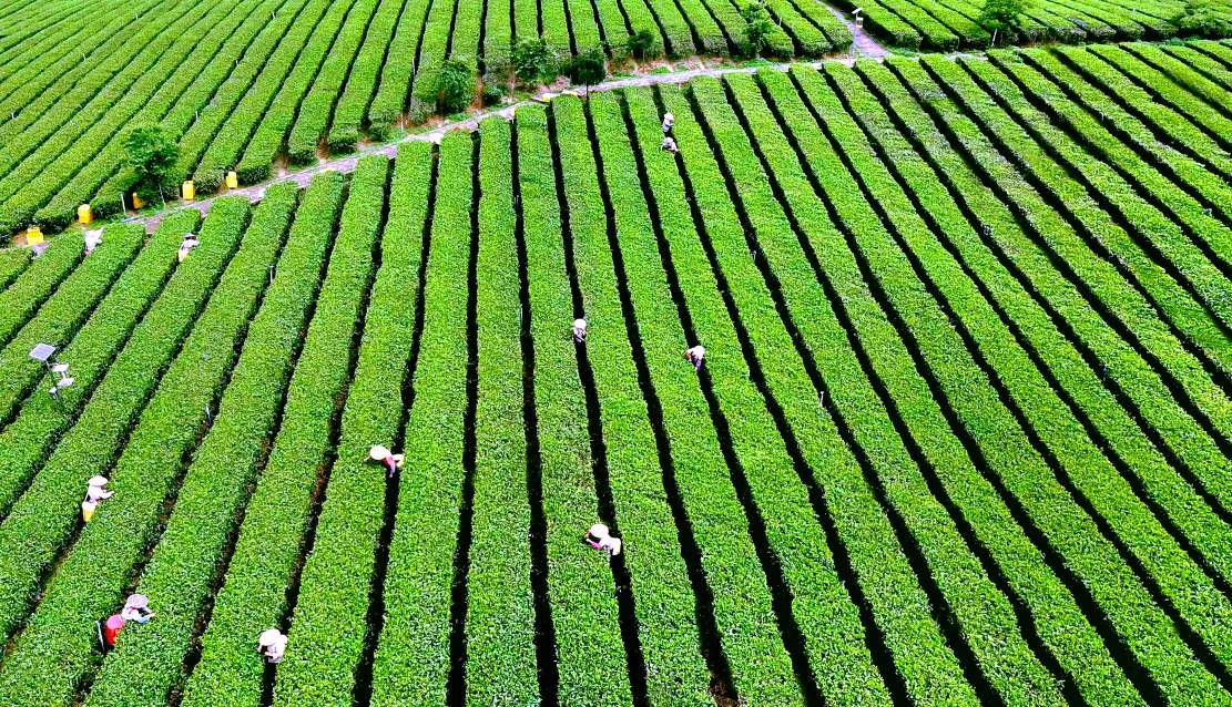 广东英德市：“两大百亿”助力“百千万工程”实现三年初见成效